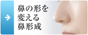 鼻の形を 変える 鼻形成
